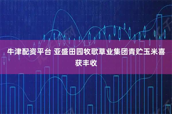 牛津配资平台 亚盛田园牧歌草业集团青贮玉米喜获丰收