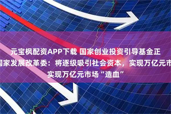 元宝枫配资APP下载 国家创业投资引导基金正式启动!国家发展改革委:将逐级吸引社会资本,实现万亿元市场“造血”