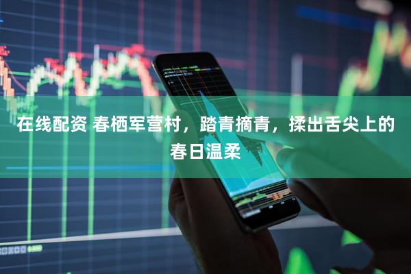 在线配资 春栖军营村，踏青摘青，揉出舌尖上的春日温柔