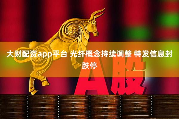 大财配资app平台 光纤概念持续调整 特发信息封跌停
